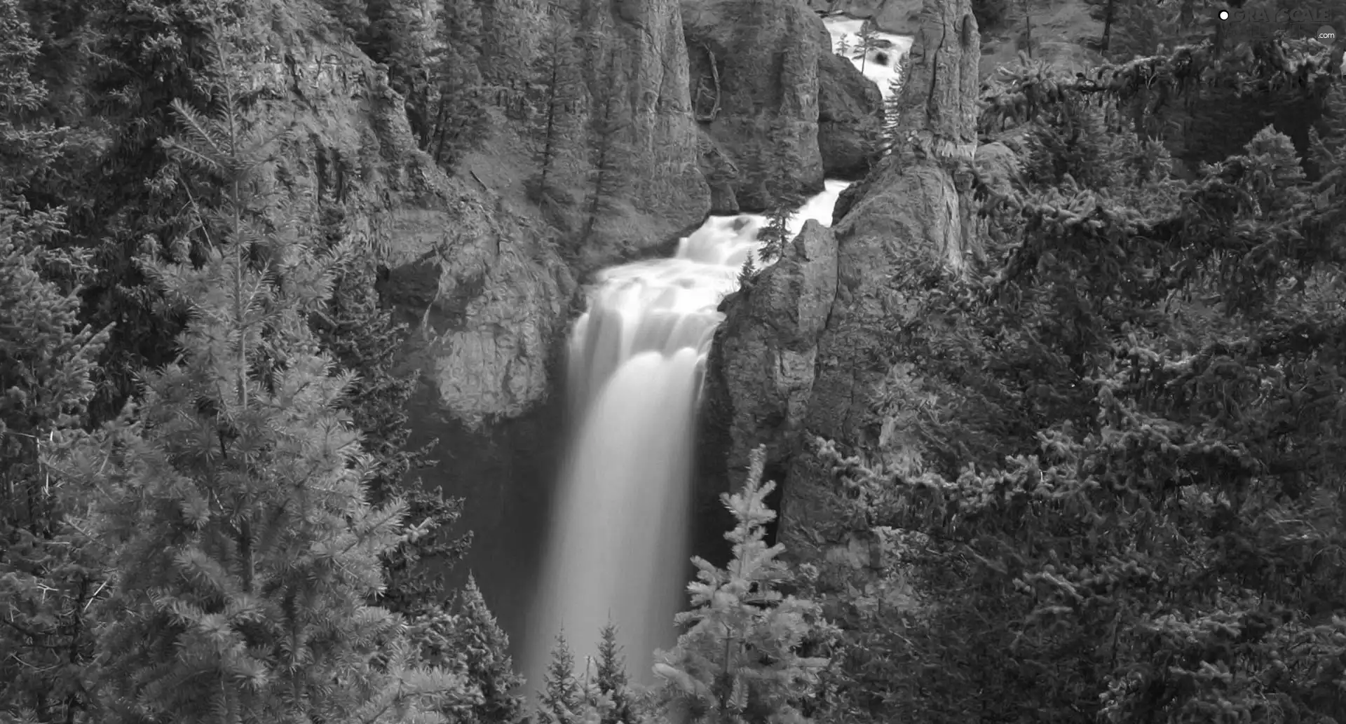 woods, waterfall, canyon