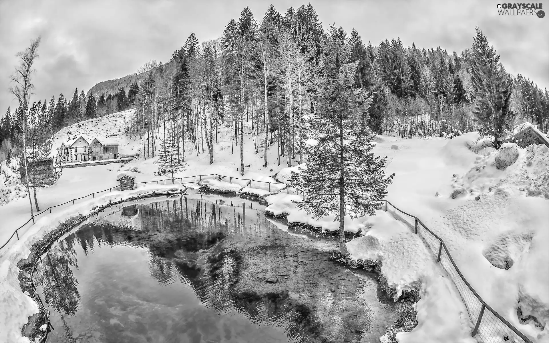 Pond - car, winter, woods