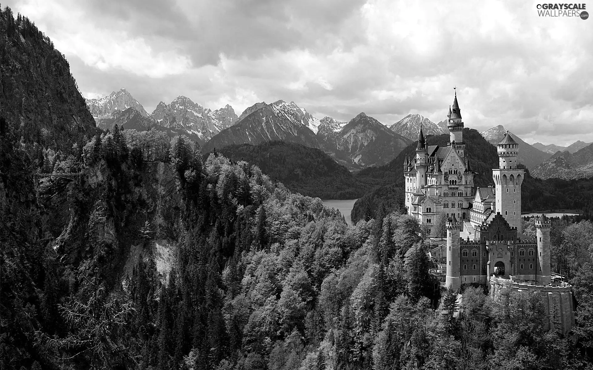 Castle, Mountains, woods, Neuschwanstein