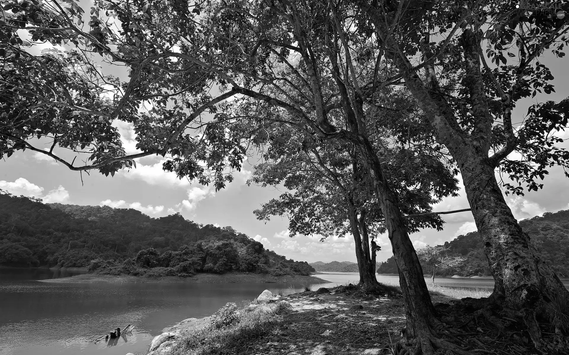 woods, clouds, Island, Mountains, lake