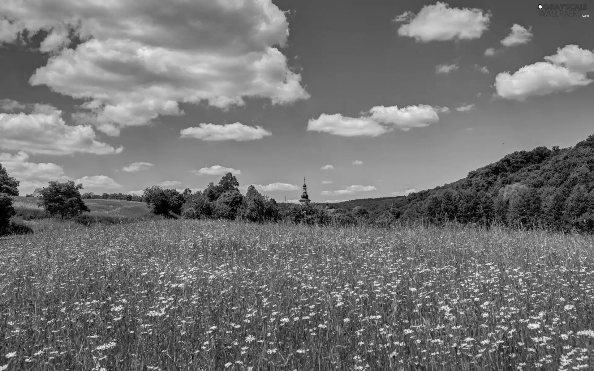 woods, clouds, Flowers, church, Meadow