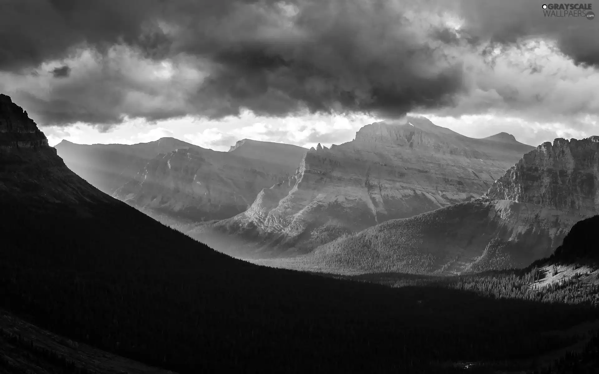 woods, Mountains, clouds