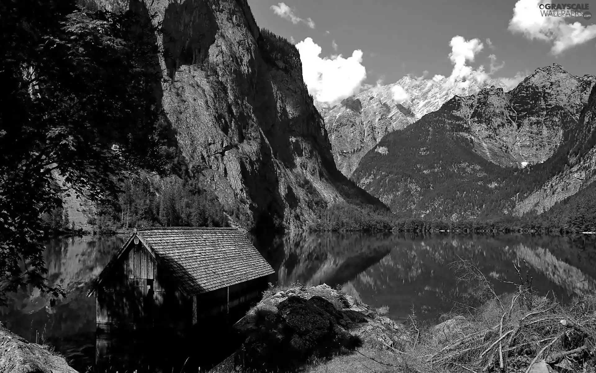 cote, lake, woods, Mountains