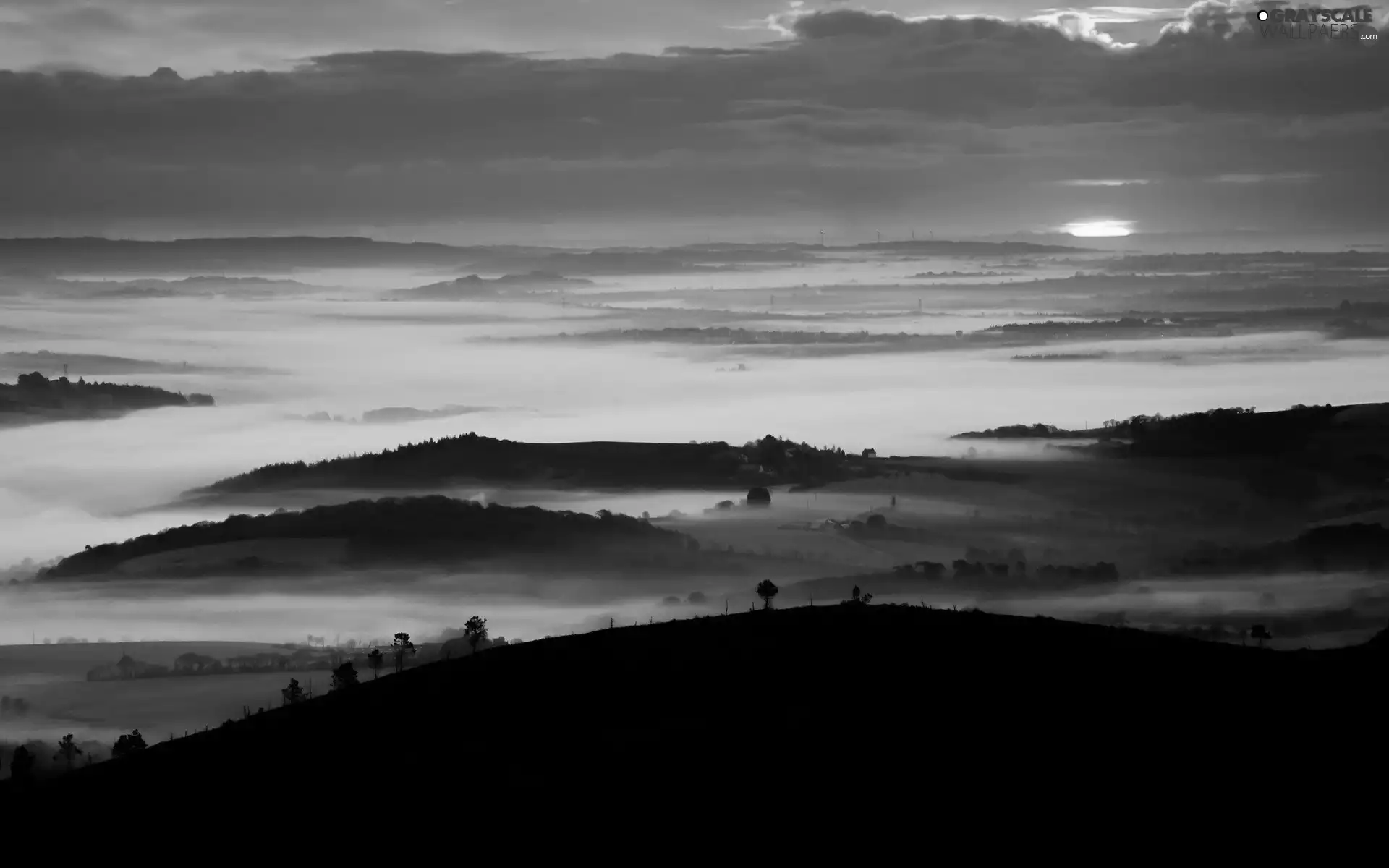 woods, field, Great Sunsets, Fog, Sky