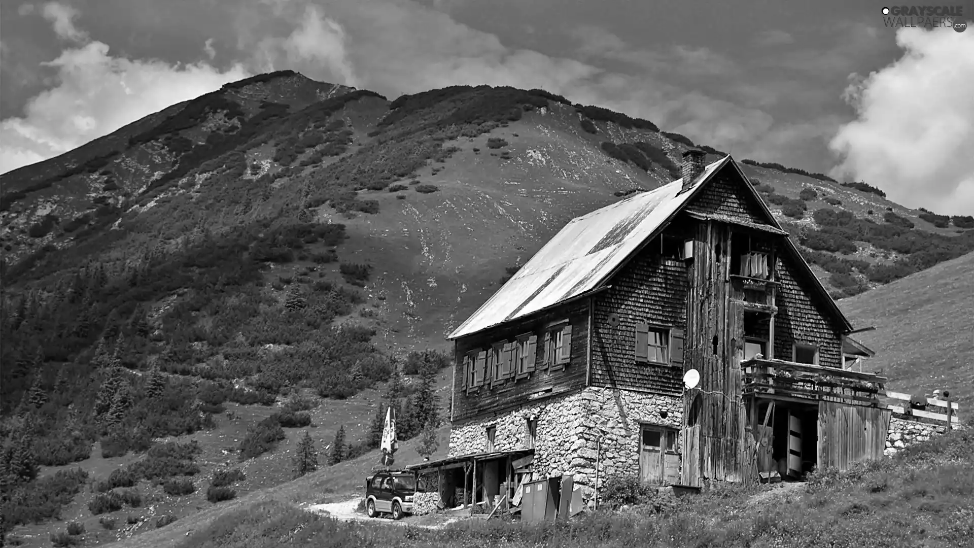 woods, Alps, house, The Slope, medows, Austrian