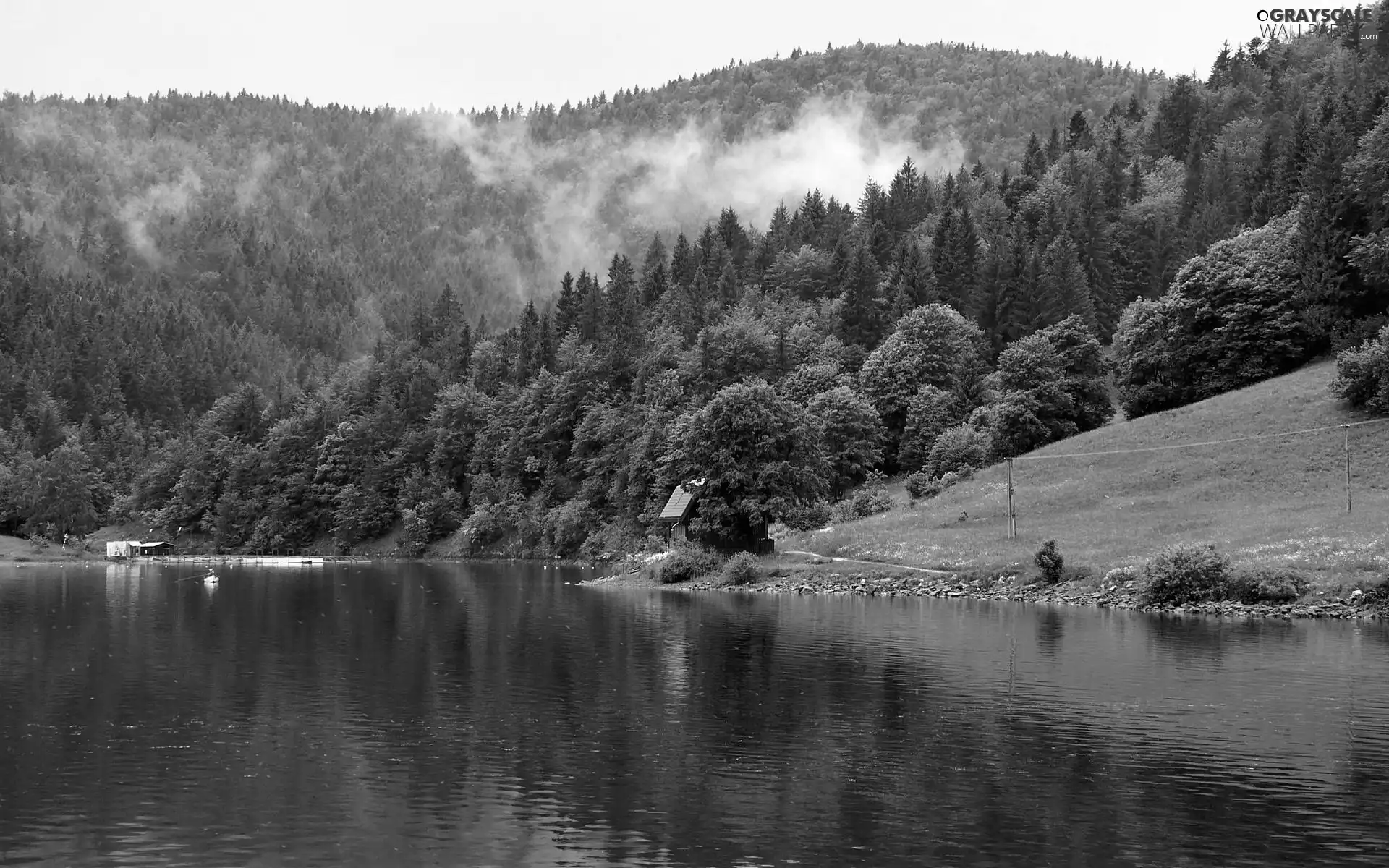 woods, house, carpathians, River, Mountains