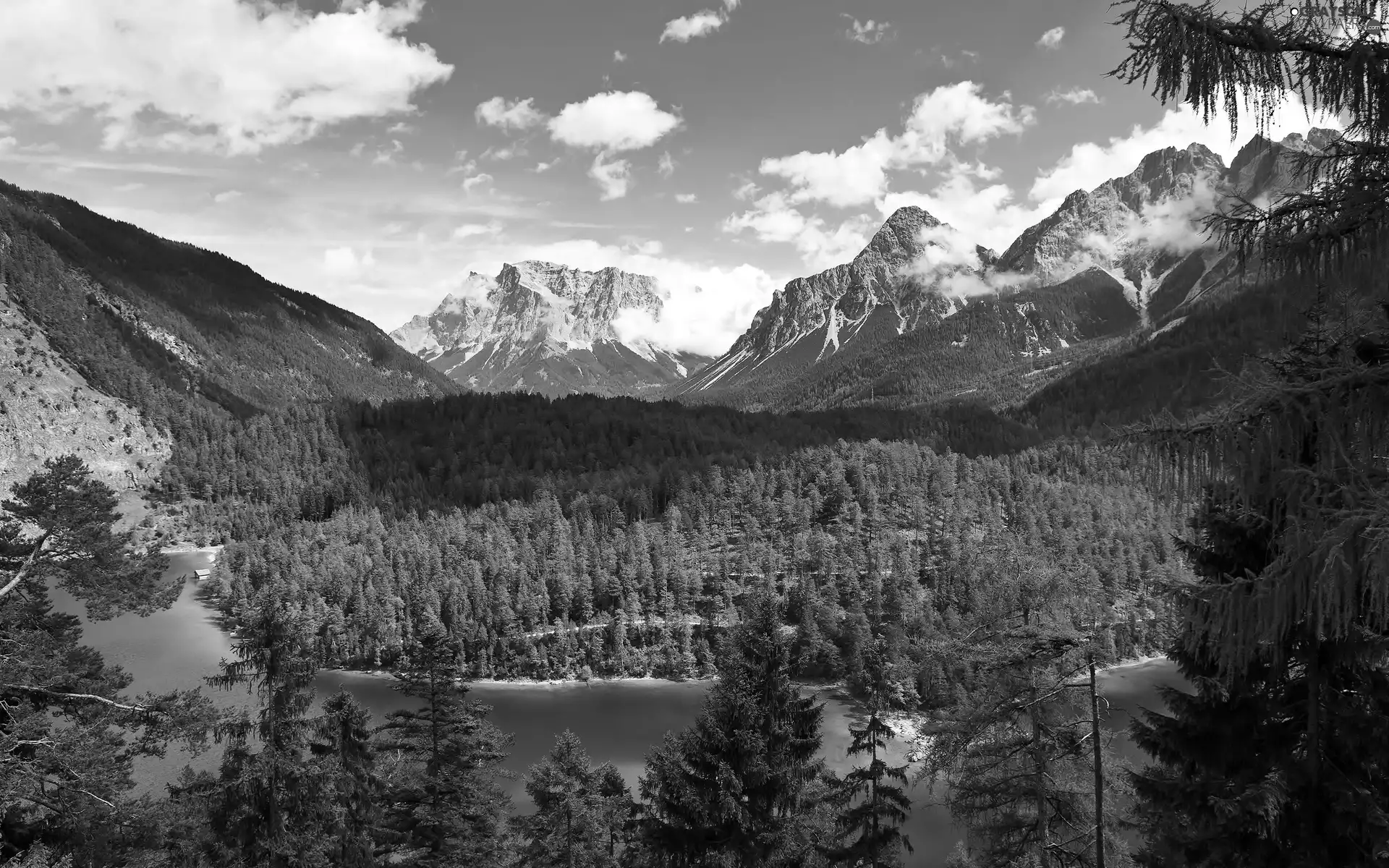 woods, Mountains, lake