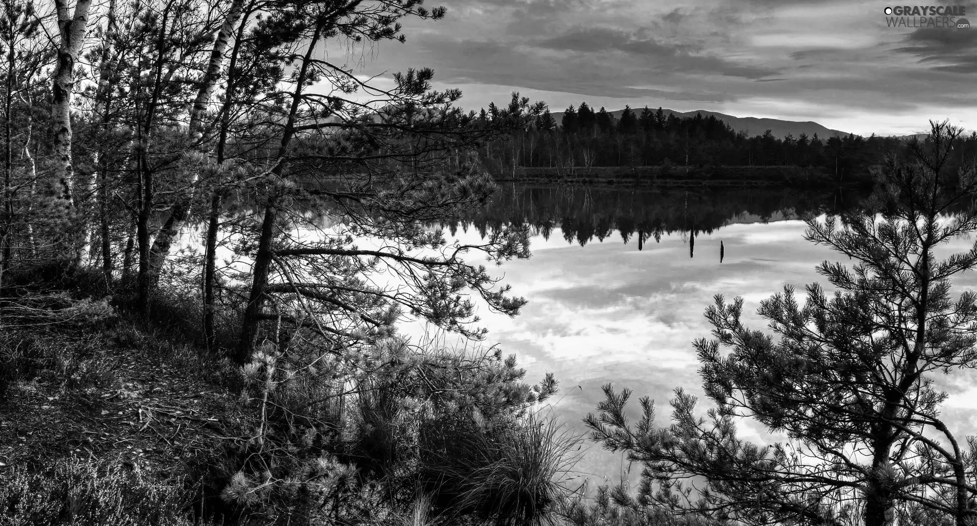 lake, sun, woods, west