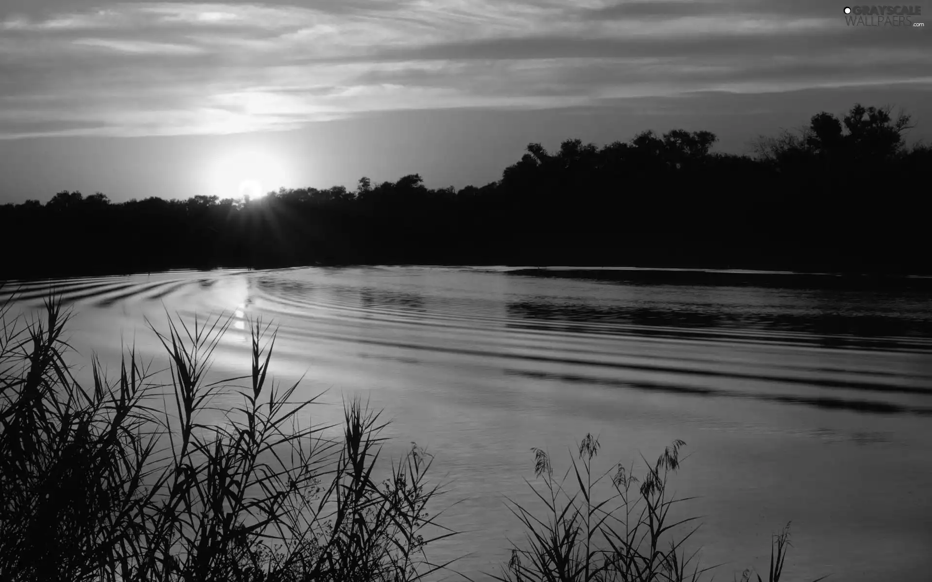 lake, sun, woods, west