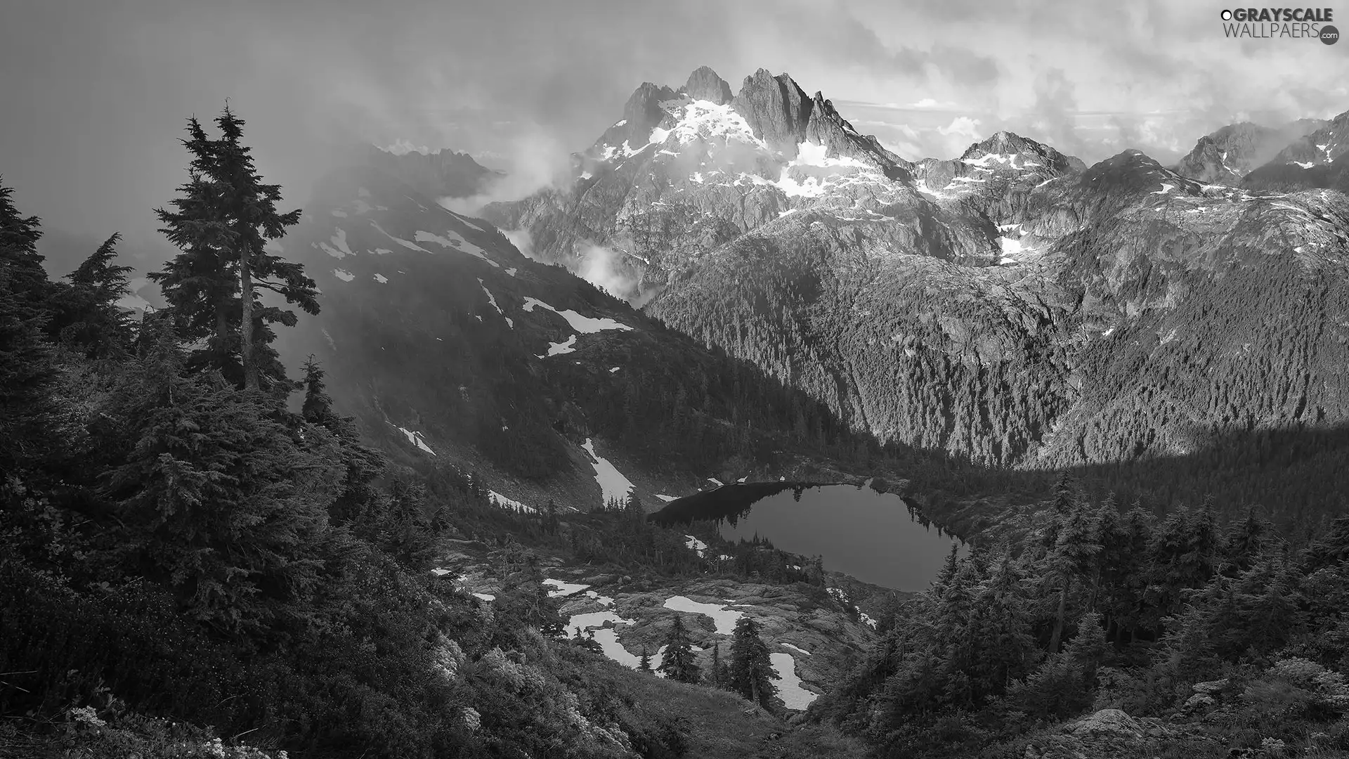 Fog, Mountains, viewes, woods, trees, lake