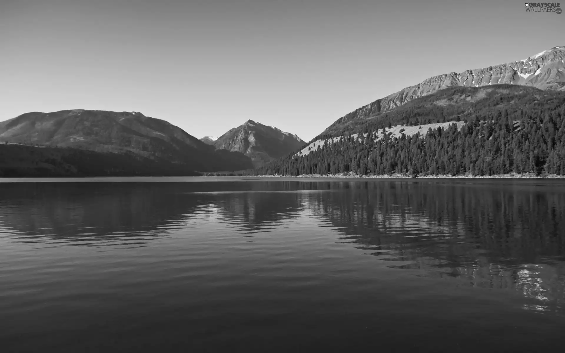 woods, lake, Mountains