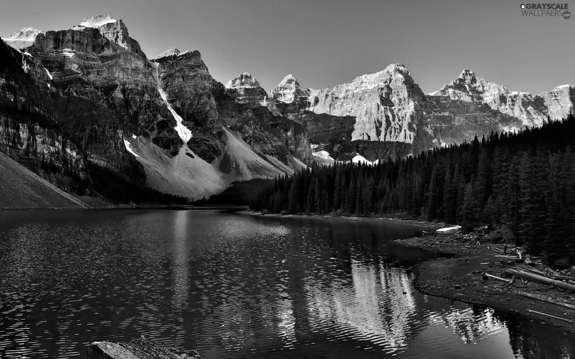 woods, lake, Mountains