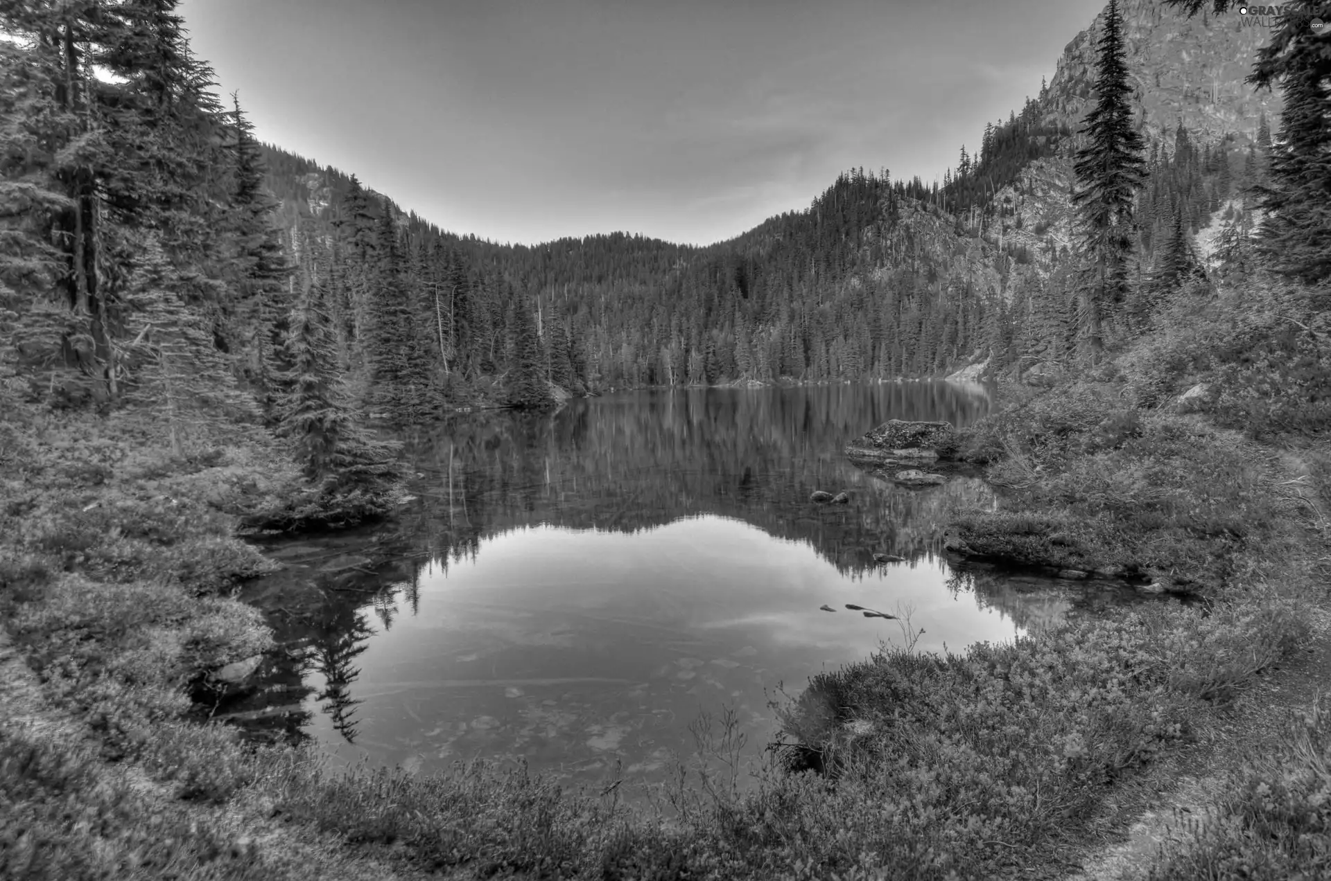 woods, lake, Mountains