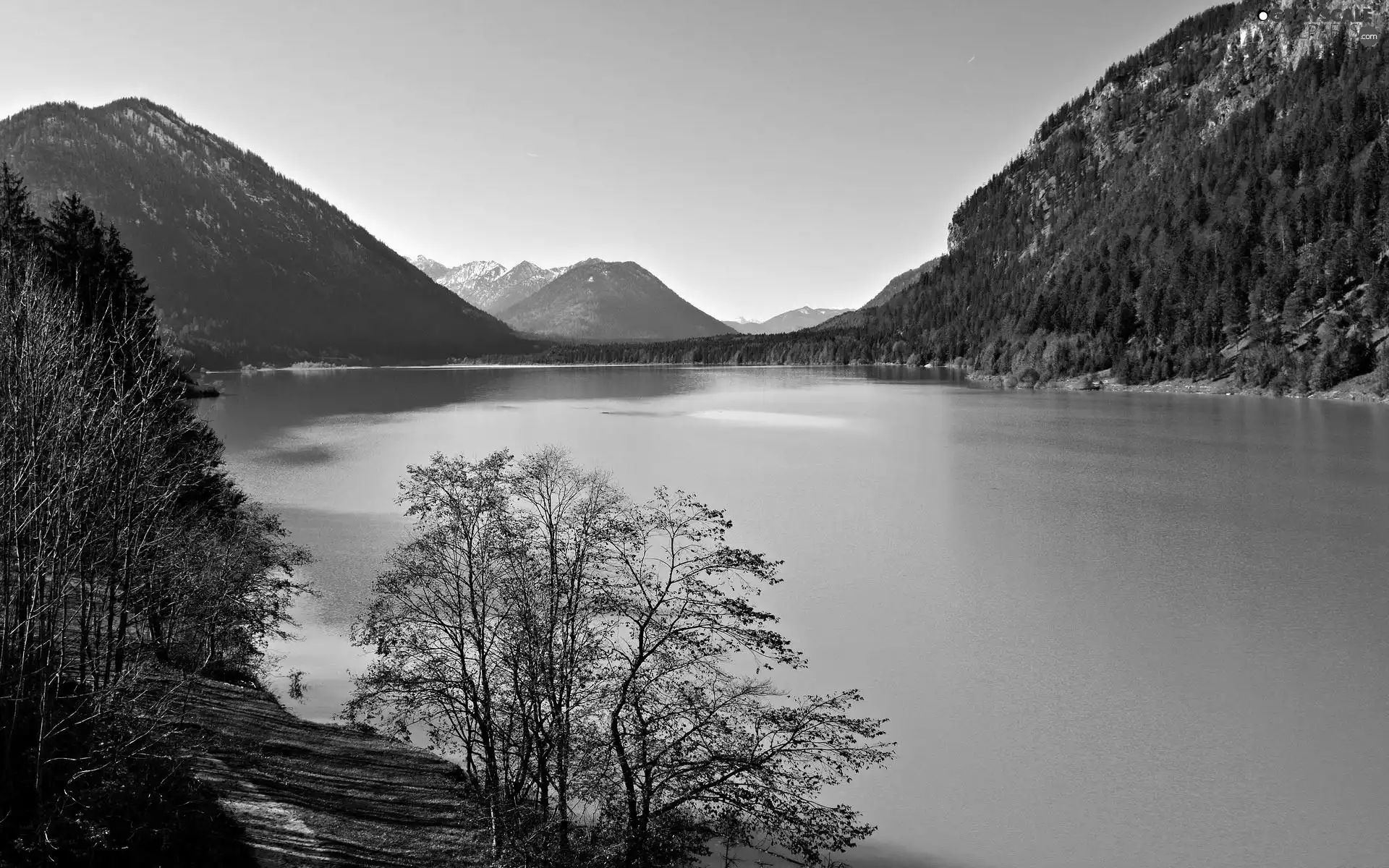 woods, River, Mountains