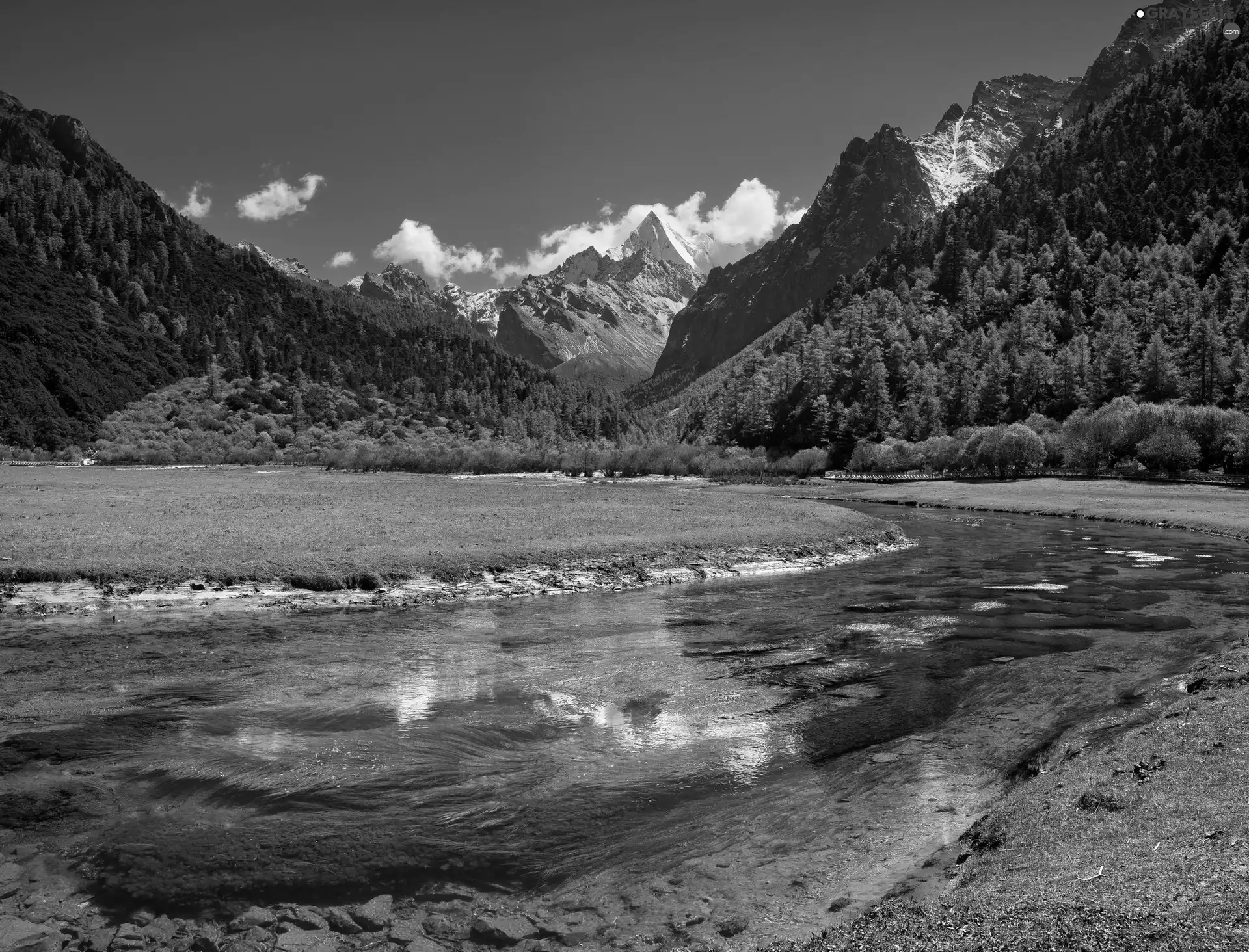 woods, River, Mountains