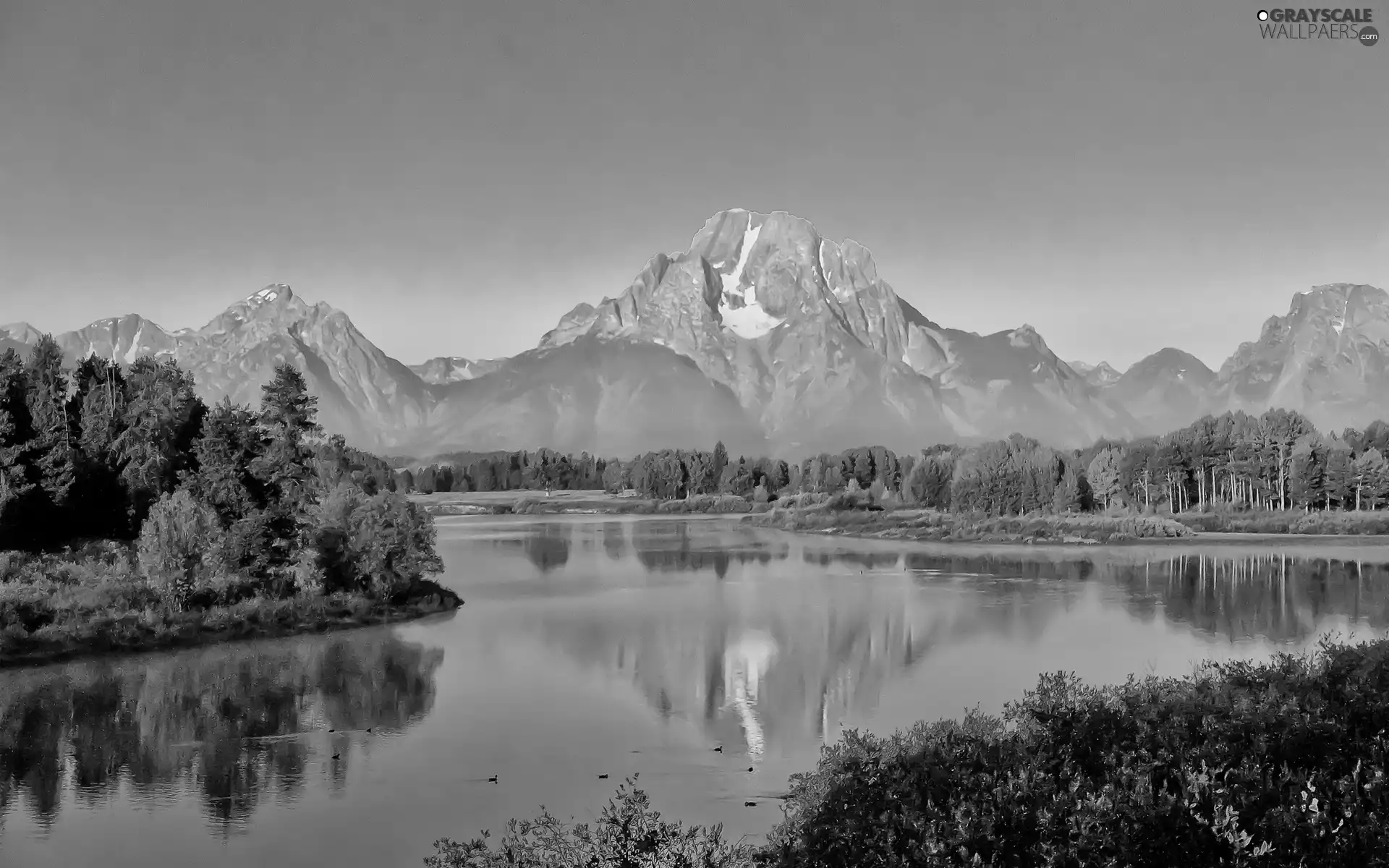 woods, River, Mountains