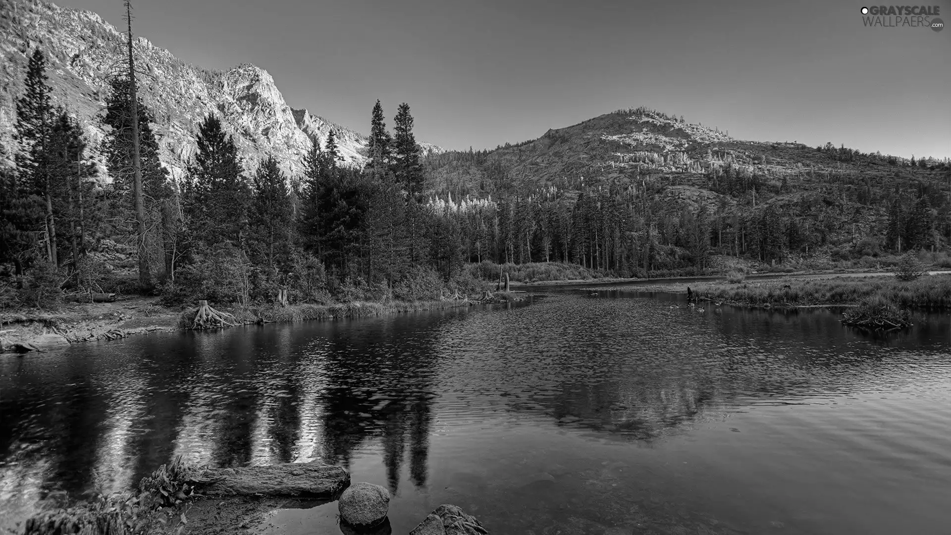 woods, River, Mountains