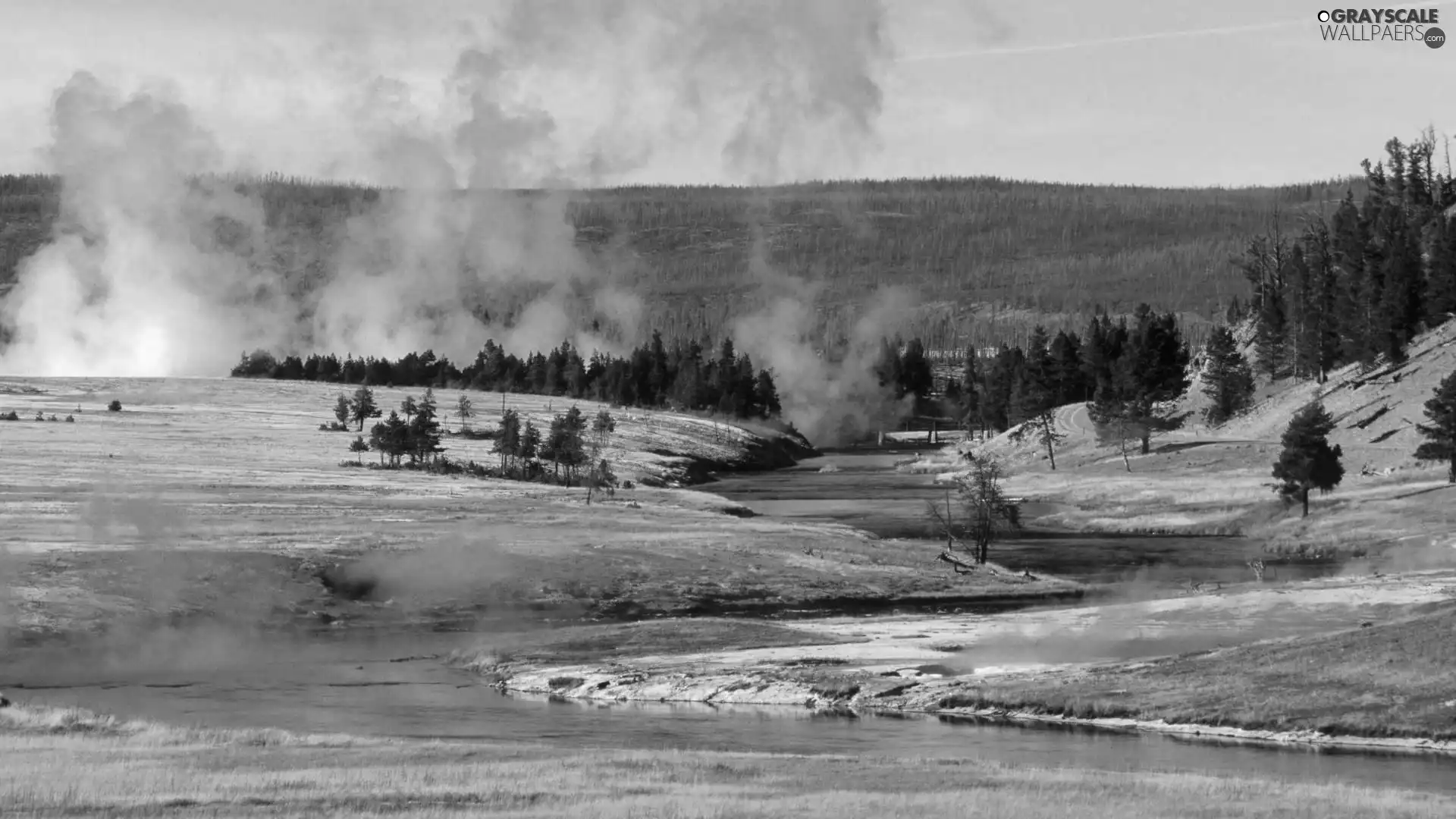 woods, Geysers, River