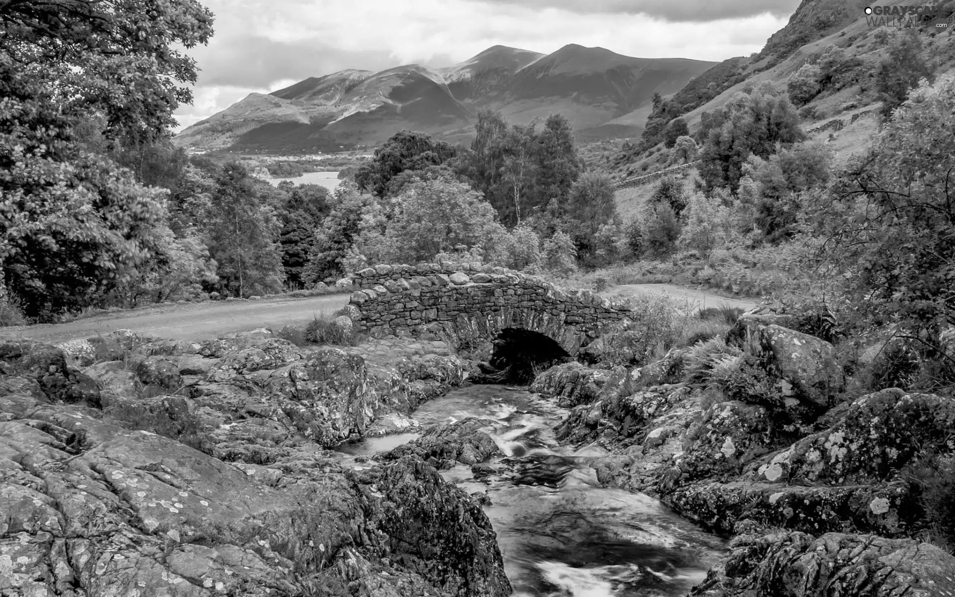 River, Mountains, woods, bridges