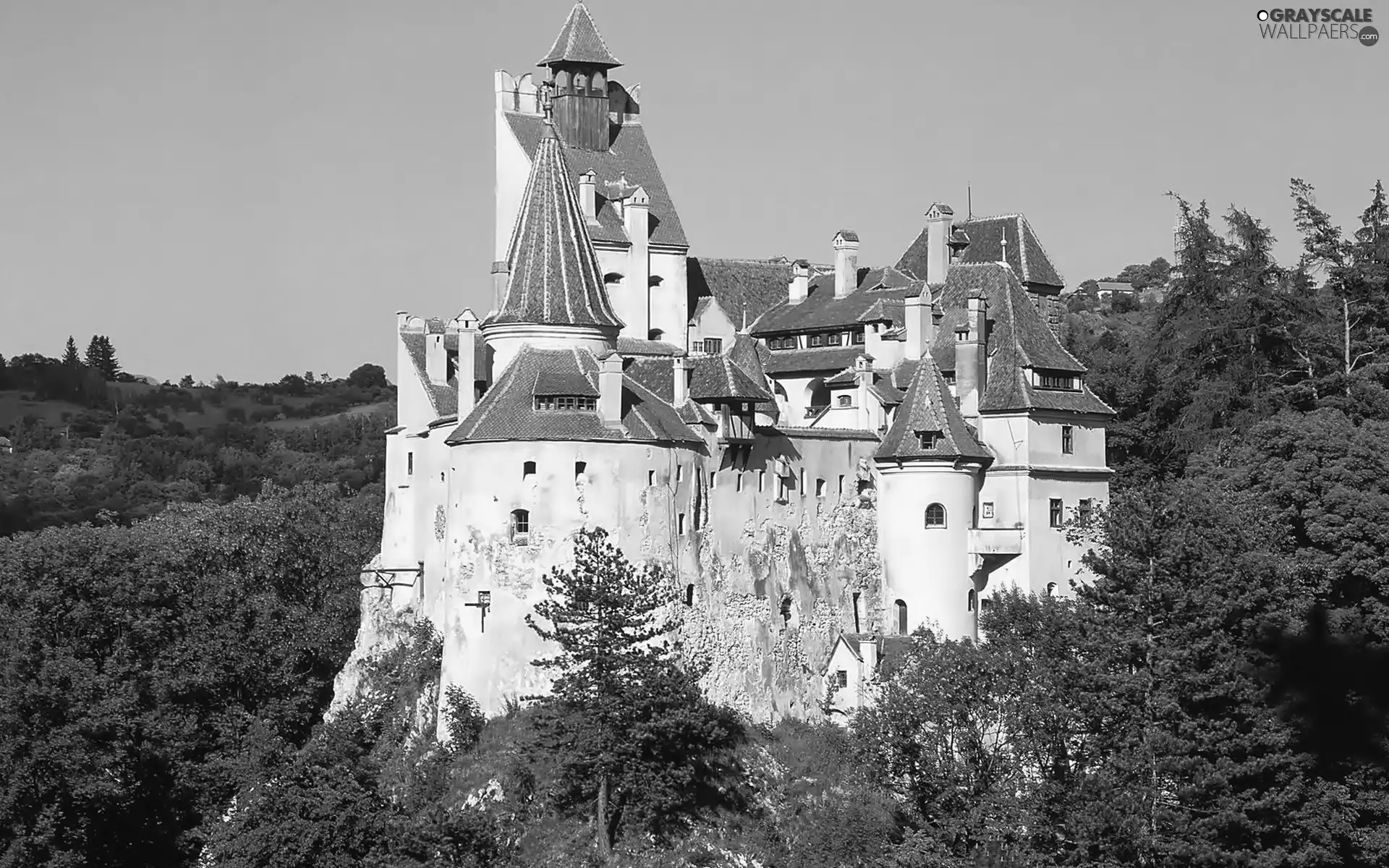 Romania, Castle, woods, Bran