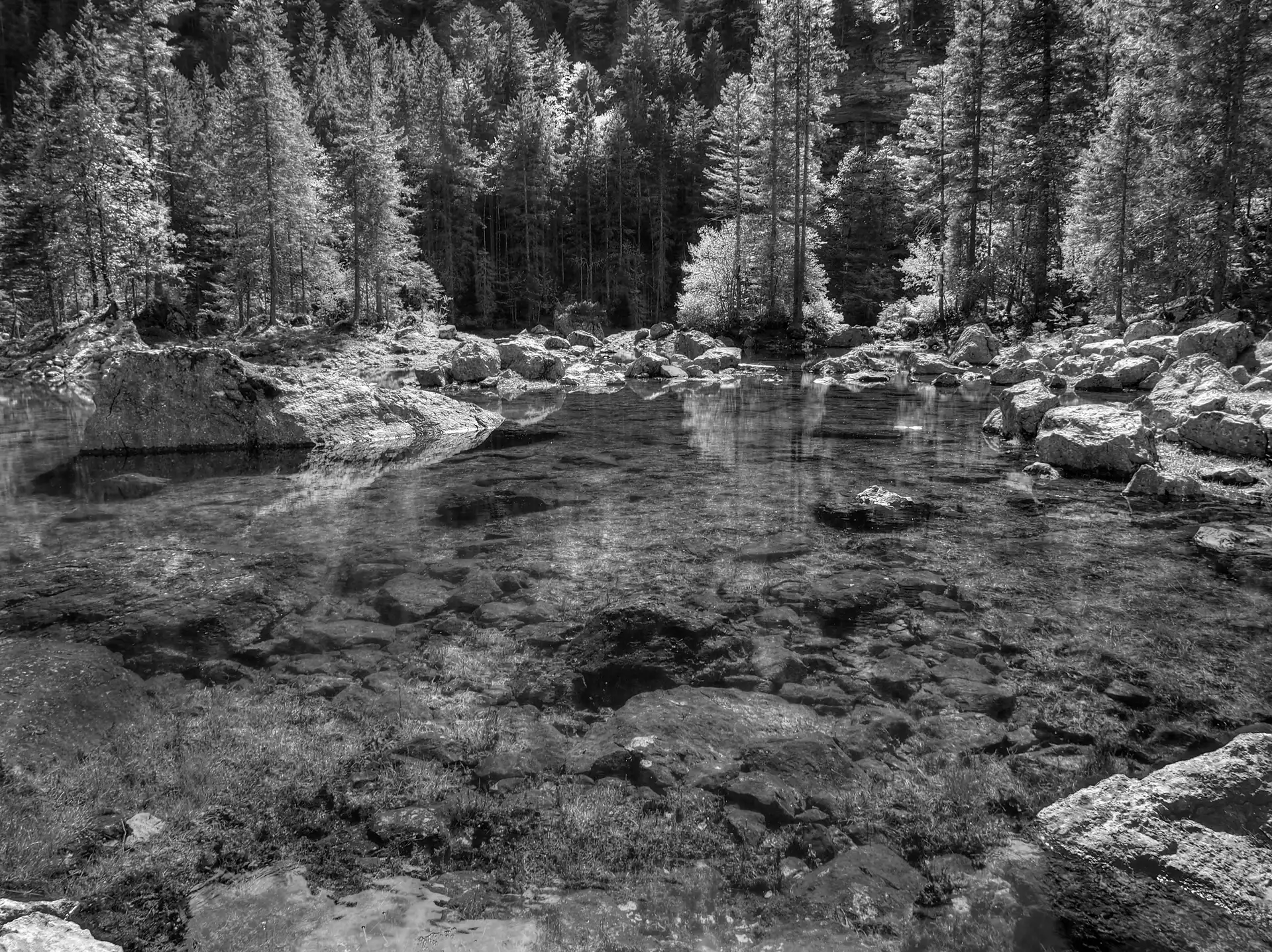 woods, lake, Stones