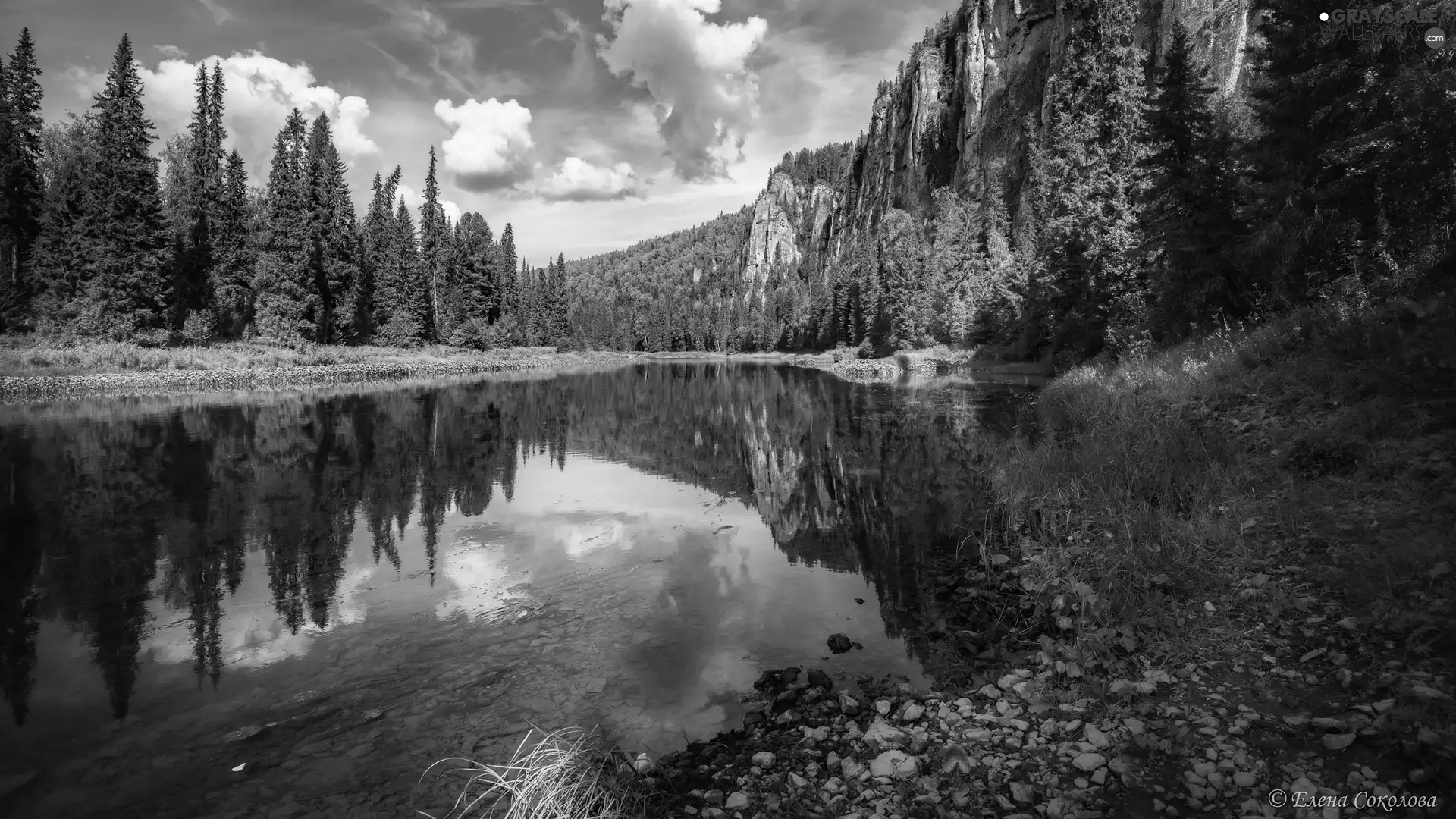 rocks, woods, trees, viewes, lake