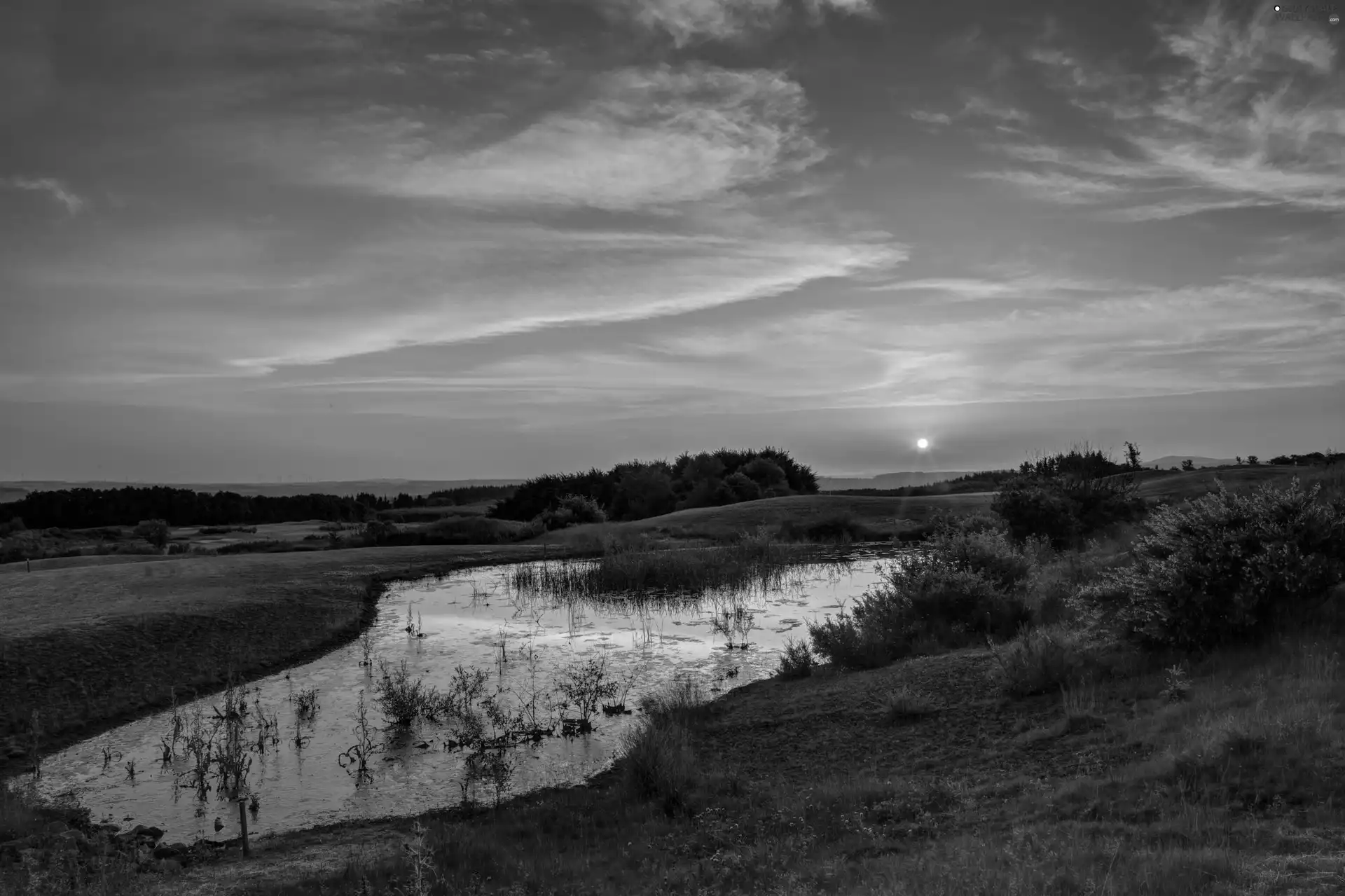 woods, Pond - car, west, sun, Mountains, medows