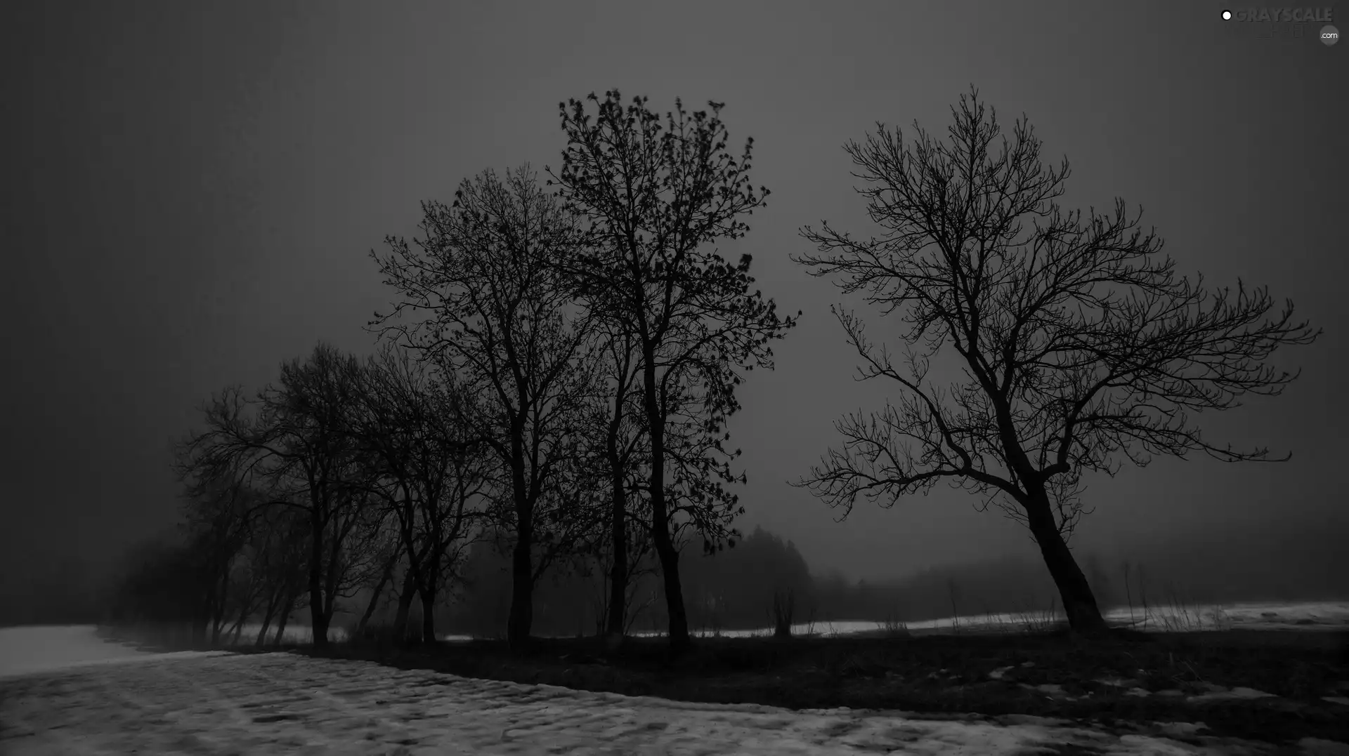 field, trees, Dusk, viewes, Way, woods, winter