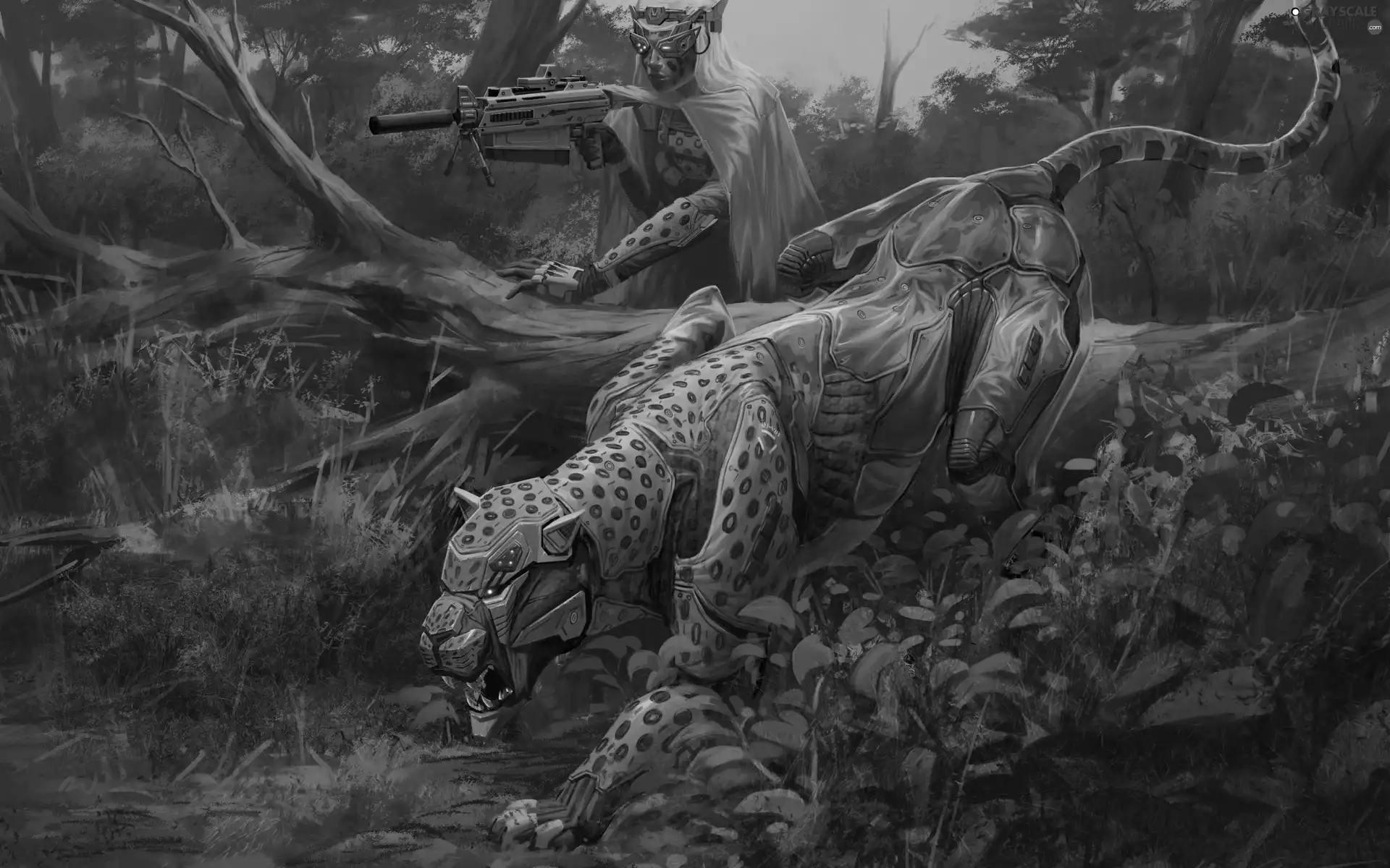 works, fantasy, forest