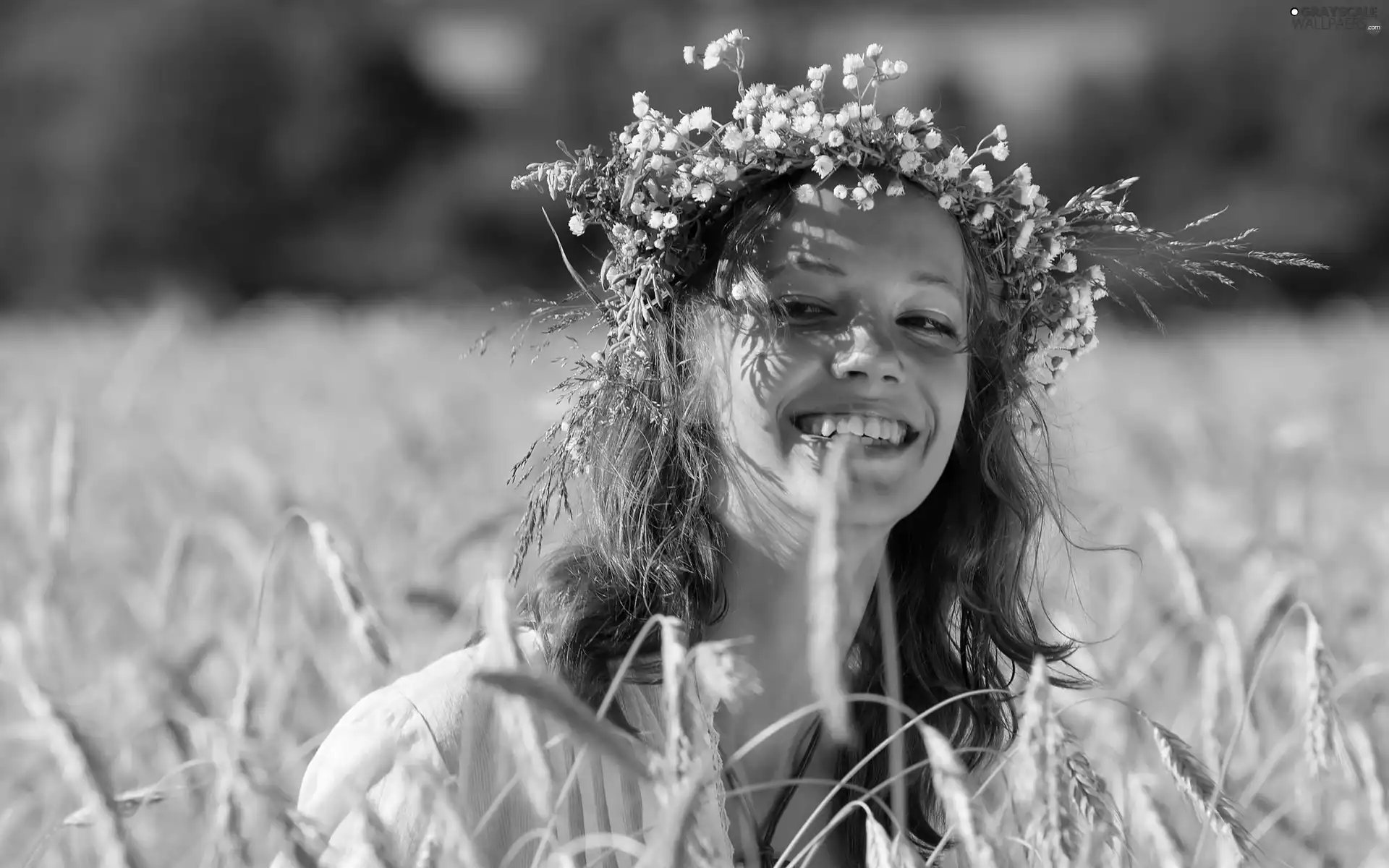 girl, corn, wreath, Field