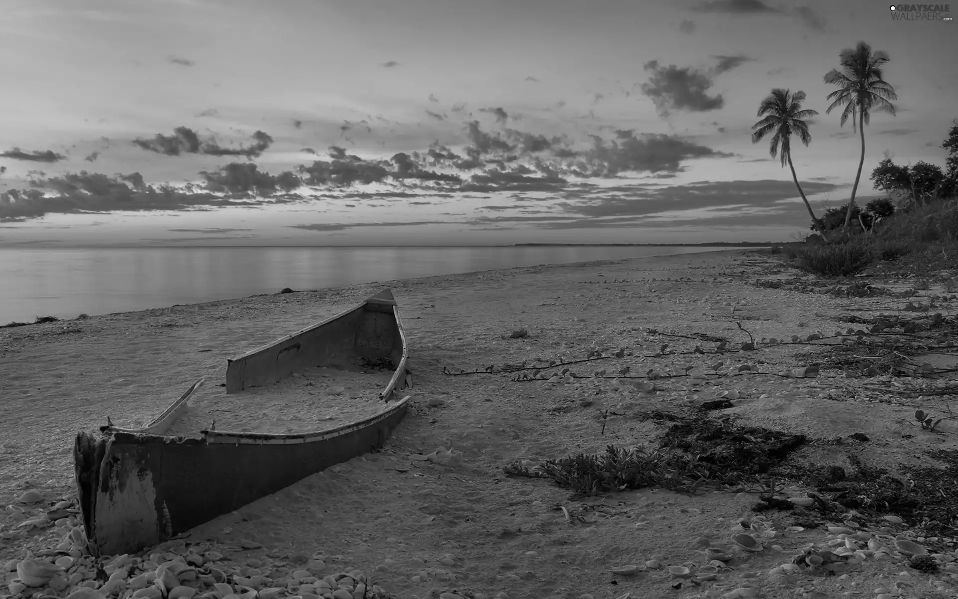 sea, west, wreck, boats, Beaches, sun