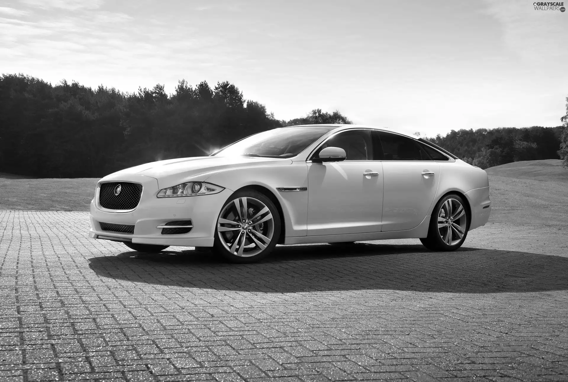 Jaguar XJ Sport