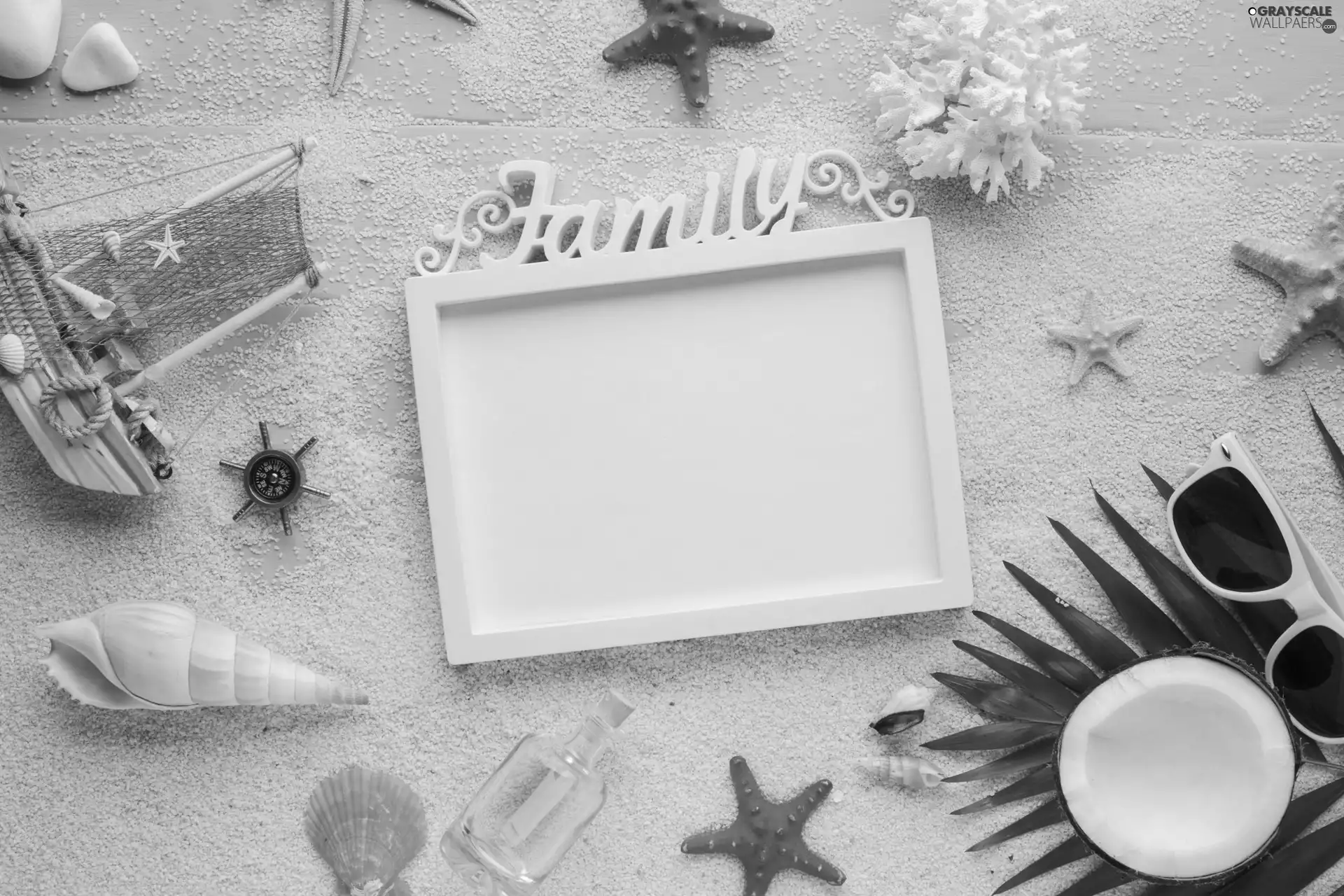 leaf, Shells, Glasses, Yacht, Sand, Coconut, holiday