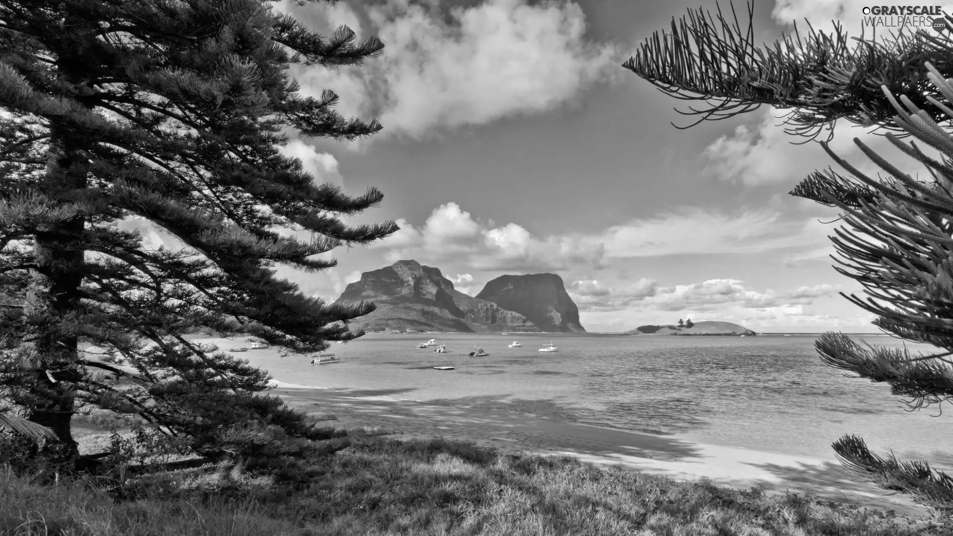 Yachts, Boats, Island, Mountains, Coast