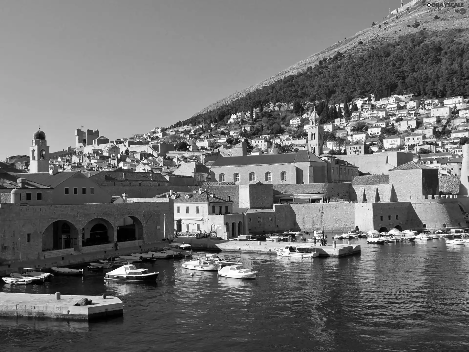 sea, panorama, Yachts, VEGETATION, Marina, Dubrovnik
