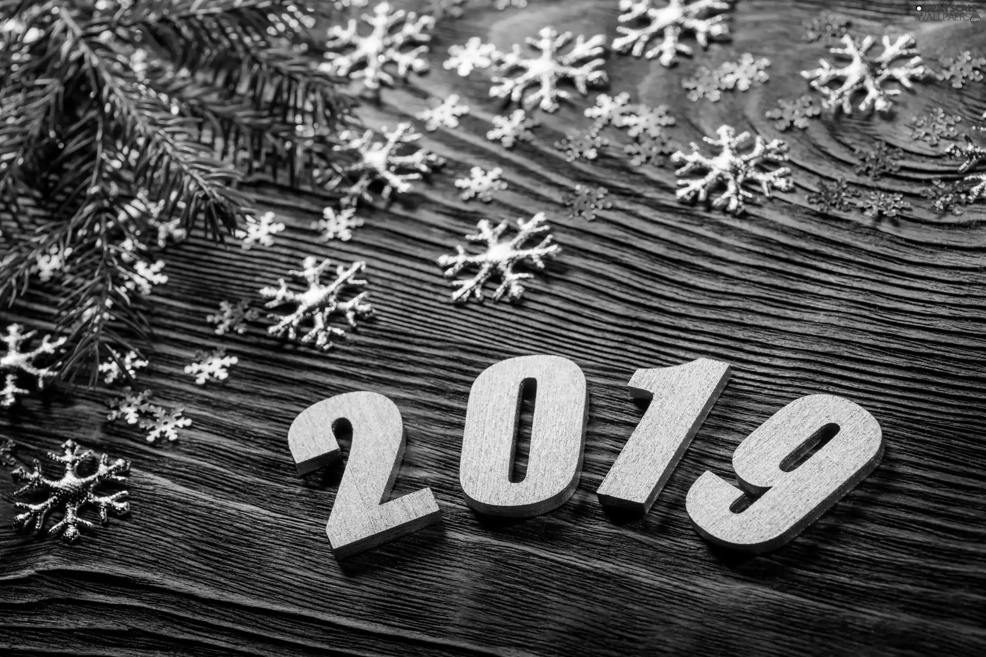 New Year, Stars, Twigs, 2019