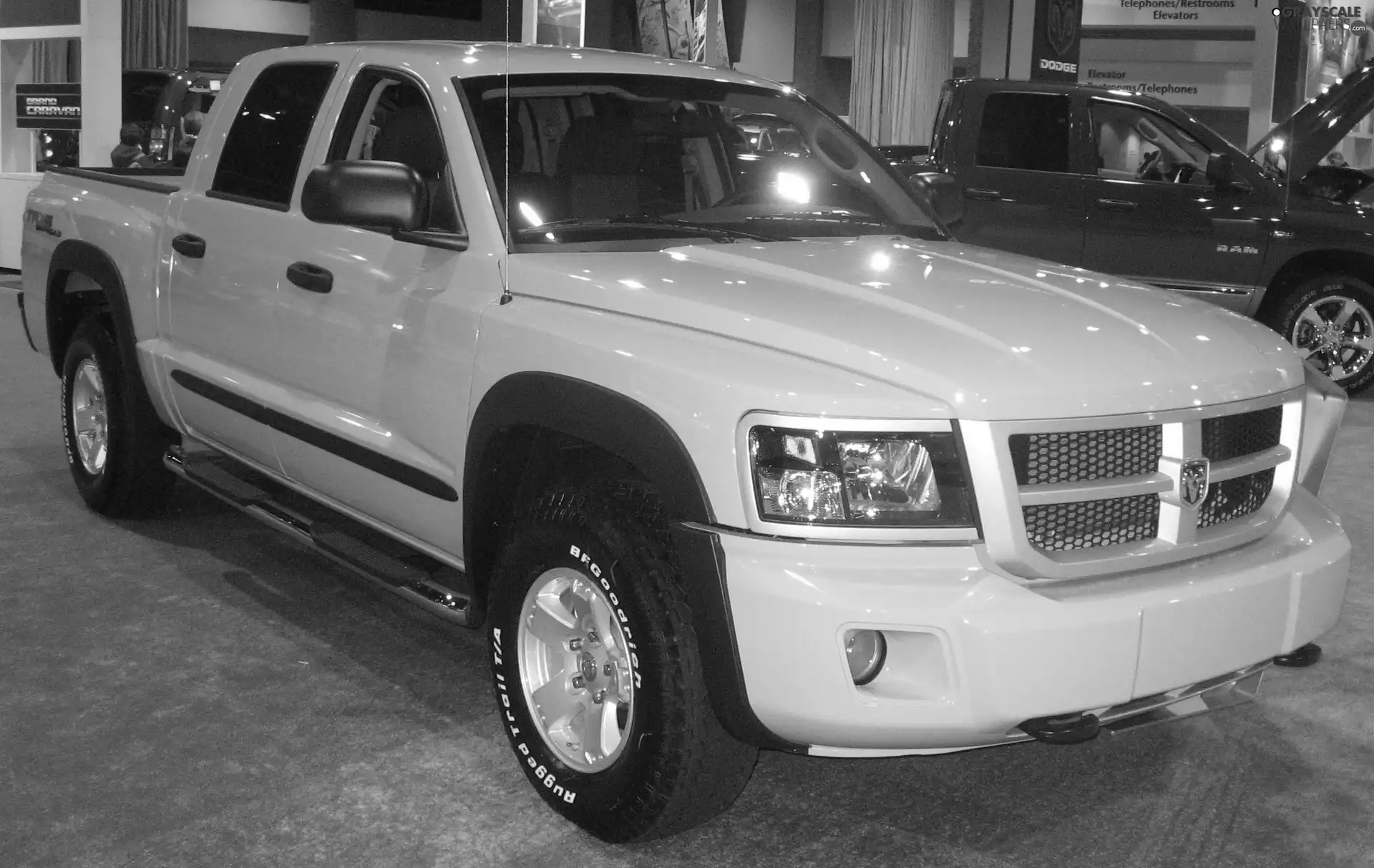 Dodge Dakota, Dealer, Yellow