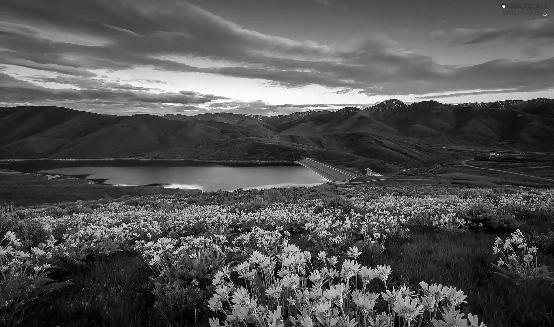 lake, clouds, Yellow, Flowers, Meadow, Mountains