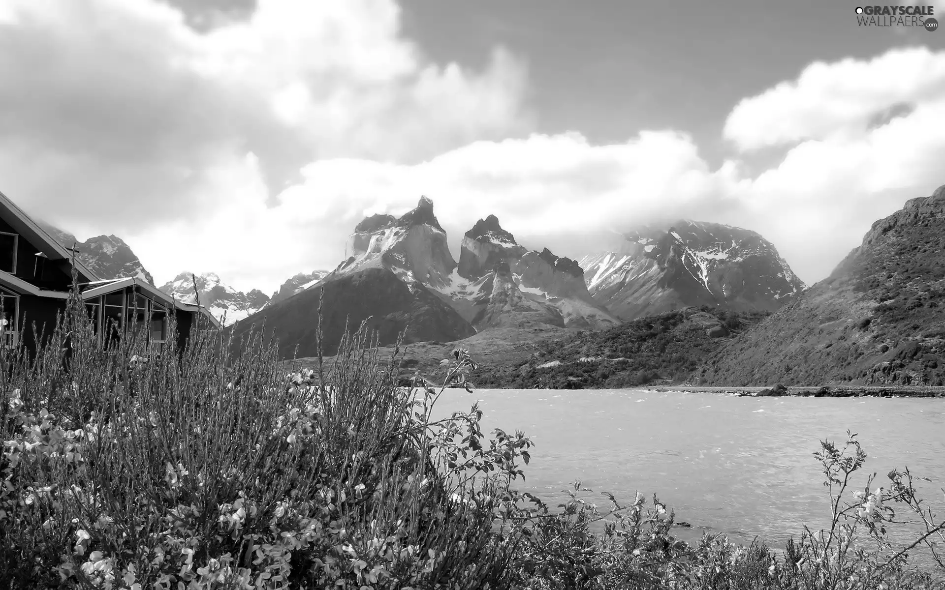 Yellow, Flowers, blue, lake, Mountains