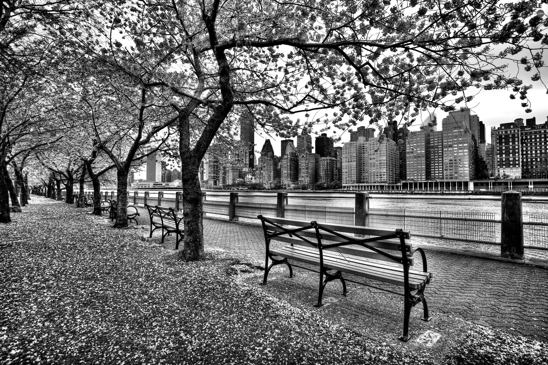 River, boulevard, New York, USA, skyscrapers, Bench