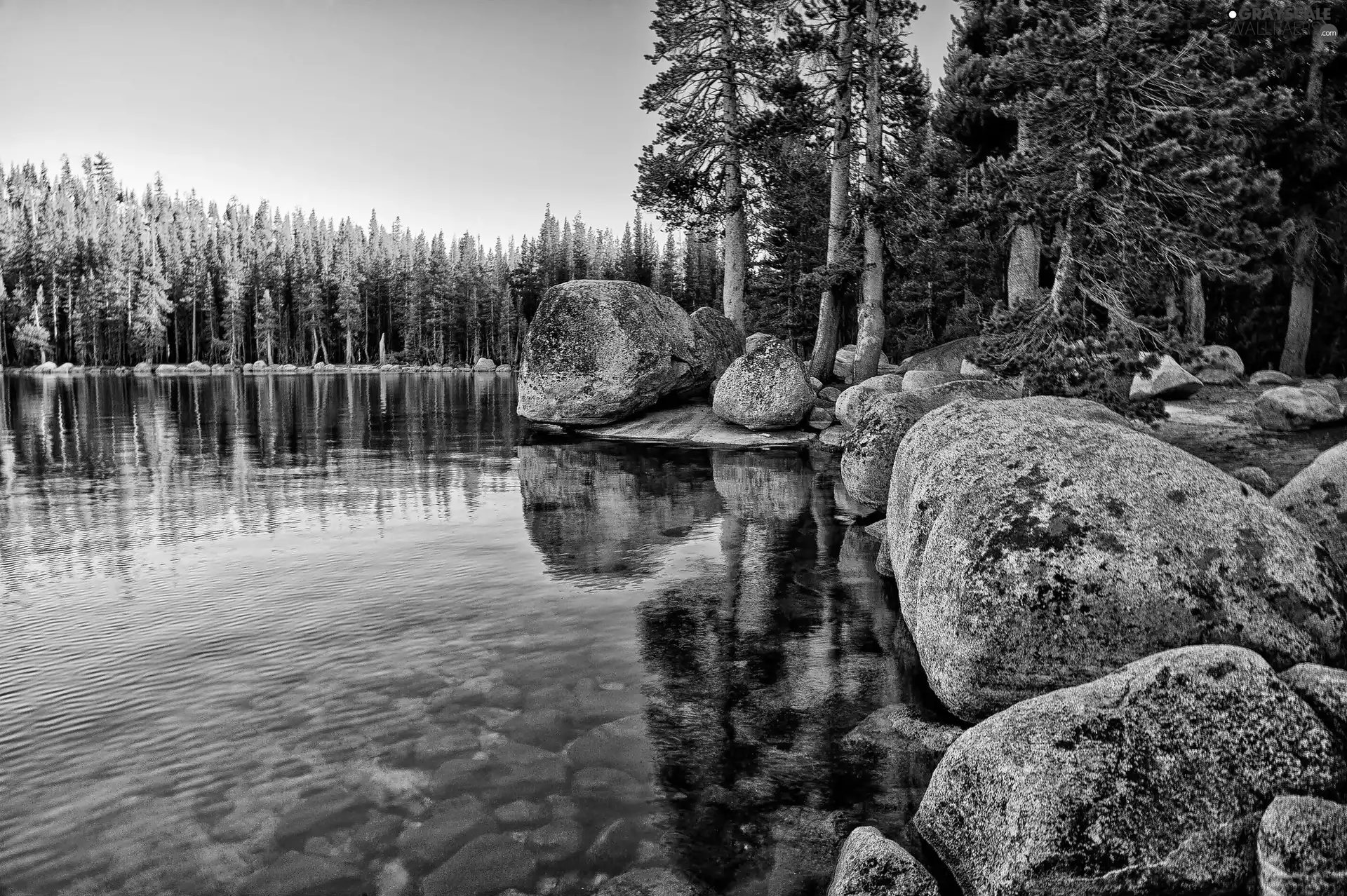 Yosemite National Park, The United States, Lake Tenaya, Stones, forest, State of California