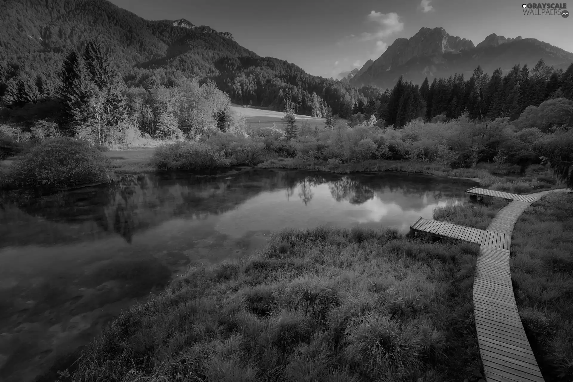 Mountains, Zelenci Springs Nature Reserve, Platform, Zelenci Lake, Slovenia, woods, wooden