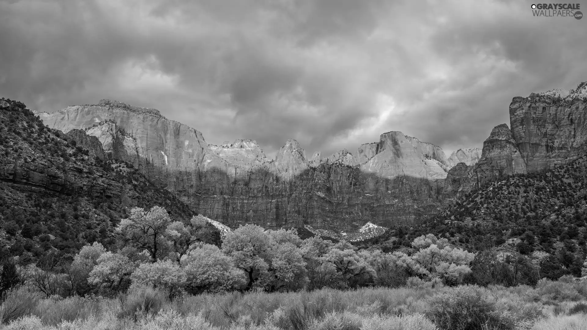 viewes, autumn, The United States, clouds, Utah, trees, Mountains, Zion National Park