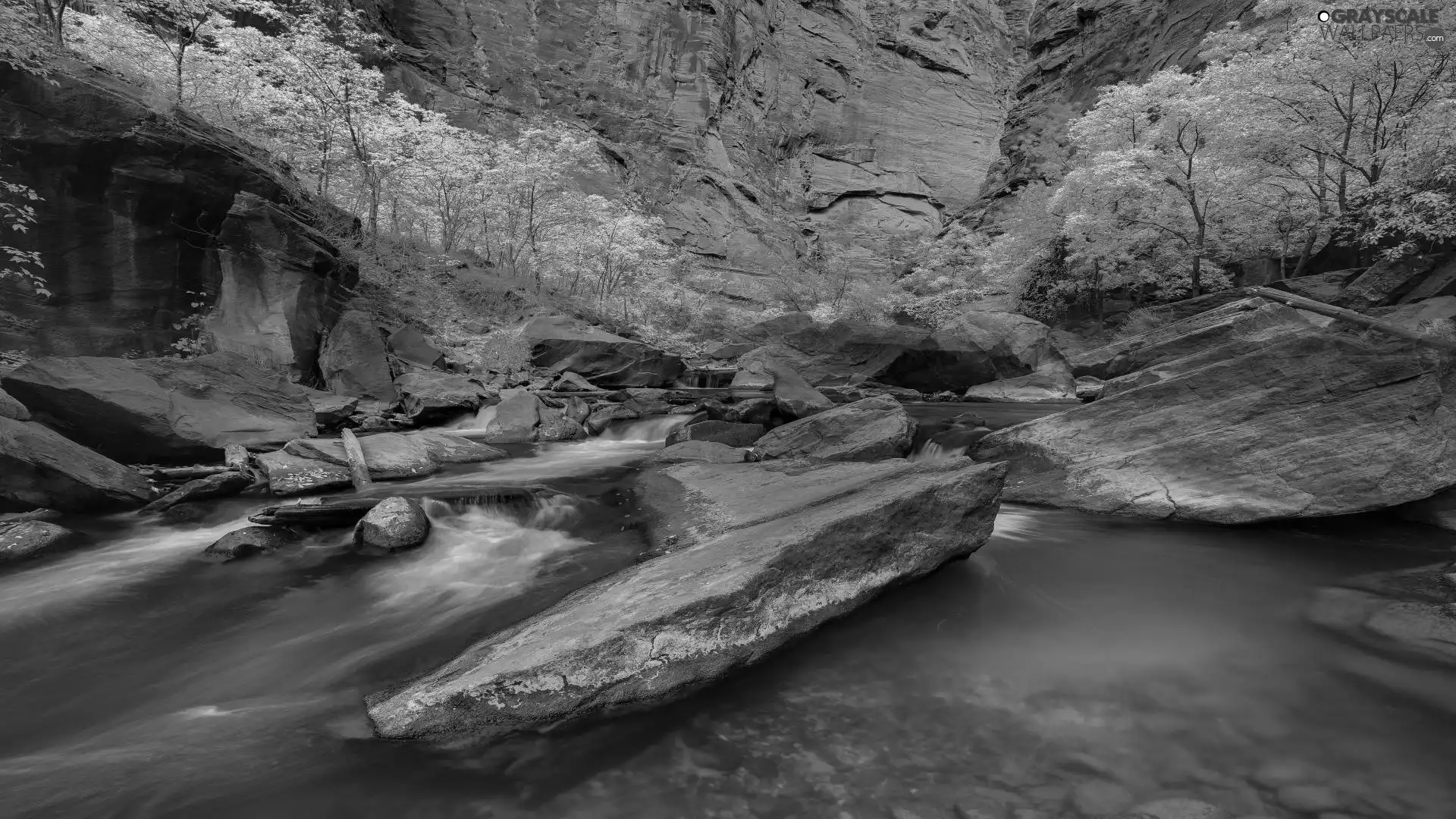 Zion National Park, Virgin River, canyon, rocks, viewes, Utah State, The United States, trees